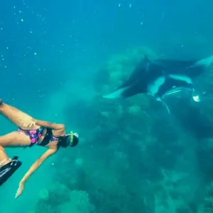 snorkeling en polynesie : Raie-manta