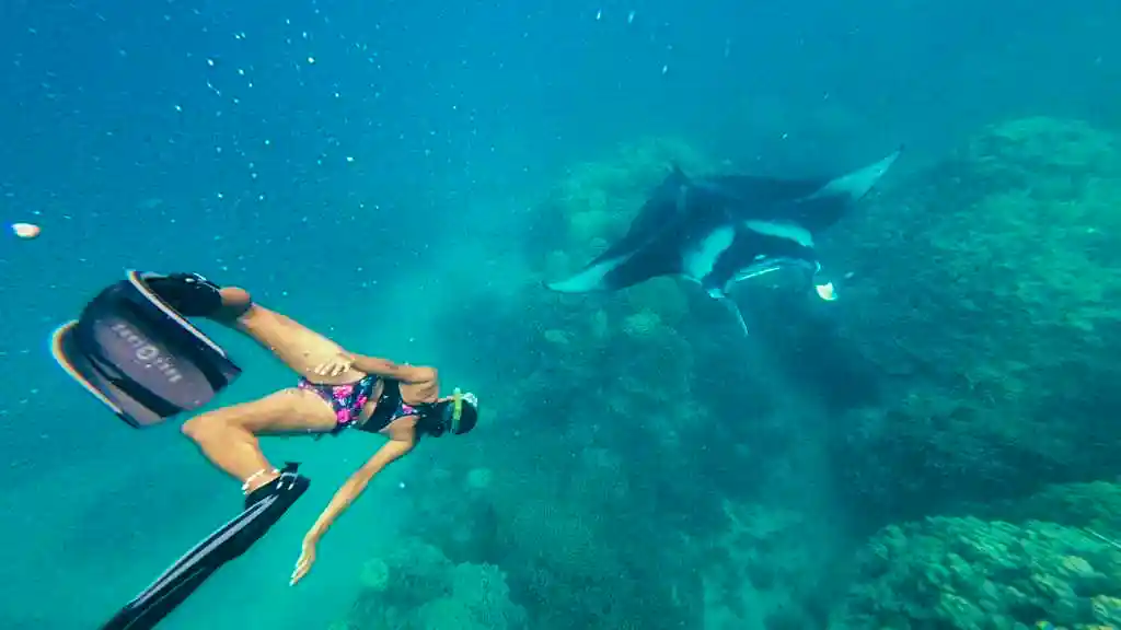 snorkeling en polynesie : Raie-manta